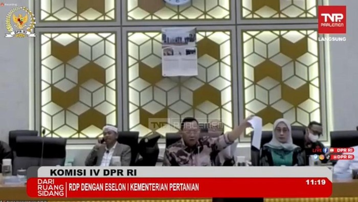 Rapat Komisi IV DPR dengan Kementan, Selasa (24/1/2023). (Screenshot YouTube DPR).