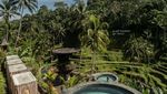 Serunya Berayun di Atas Undakan Persawahan Ubud