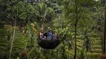 Serunya Berayun di Atas Undakan Persawahan Ubud