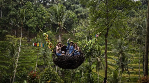 Alas Harum Bali juga menyediakan beragam spot berfoto seperti Bird Nest, wisatawan bisa berfoto dalam bundaran berbentuk sarang burung yang terbuat dari susunan ranting. (Emin Sansar/Anadolu Agency via Getty Images)