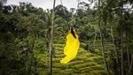 10 Destinasi Terbaik buat Liburan di Indonesia Versi Lonely Planet