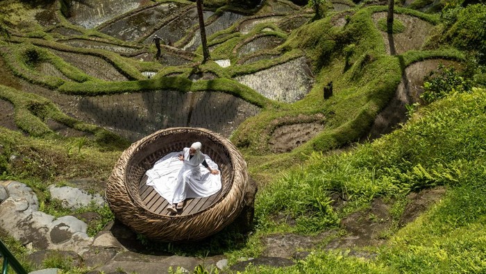 UBUD, BALI, INDONESIA - DECEMBER 8: A foreign tourist uses a swimming pool with a rice terrace in the background on December 8, 2022 in Ubud, Bali, Indonesia. Indonesia's parliament voted to pass a law that bans extramarital sex on Tuesday, in a move that critics quoted in local media have said will severely impact the tourism industry. Regions like Bali rely heavily on an influx of foreign tourists to keep their economies afloat, and the new law has raised concerns just as international arrivals start to pick up again post-pandemic.  (Photo by Agung Parameswara/Getty Images)