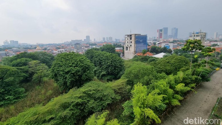 Taman Remaja Surabaya dan THR Taman Remaja Surabaya dan THR