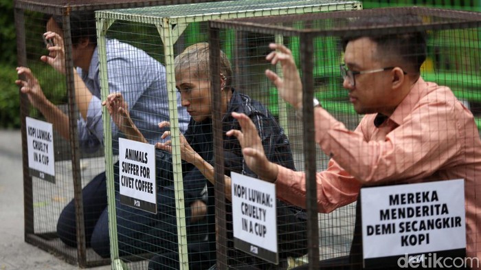 Sejumlah aktivis PETA menggelar aksi menolak eksploitasi luwak. Mereka mengurung diri dengan kandang di depan Kementerian Lingkungan Hidup dan Kehutanan.