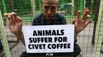Terkurung di Kandang, Aktivis PETA Tolak Eksploitasi Luwak