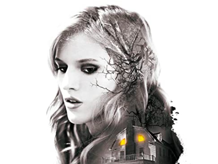 Amityville: The Awakening Amityville: The Awakening