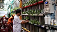 Smart farming merupakan kegiatan pertanian yang memanfaatkan penggunaan platform yang dikonektivitaskan dengan perangkat teknologi seperti tablet atau smart phone untuk mengumpulkan informasi.