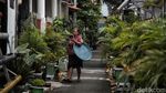 Asrinya Kampung Sehat di Gang Sempit Jakarta