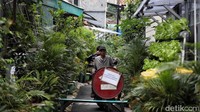 Suasana kampung sehat Kelompok Tani Green Puspa binaan PLN Unit Induk Distribusi Jakarta di kawasan Utan Kayu Selatan, Matraman, Jakarta Timur, Rabu (25/1/2023).