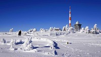 Seorang pengendara sepeda turun dari Brocken setinggi 1.142 meter (3.743 kaki) di pegunungan Harz dekat Schierke, Jerman. Para ilmuwan belum menganalisis cara spesifik pengaruh perubahan iklim pada suhu tinggi di Eropa. Namun, cuaca hangat di bulan Januari ini sesuai dengan tren kenaikan suhu jangka panjang karena perubahan iklim yang disebabkan manusia.