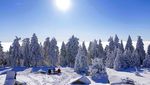 Sensasi Dinginnya Salju di Jerman Akhir Januari