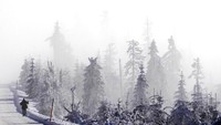 Seorang pengendara sepeda turun dari Brocken setinggi 1.142 meter (3.743 kaki) di pegunungan Harz dekat Schierke, Jerman, Selasa, 24 Januari 2023. Padahal sebagian Eropa juga sedang mengalami musim dingin terpanas pada awal 2023. Dilaporkan oleh Reuters, suhu di benua utara itu mencapai lebih dari 20°C.