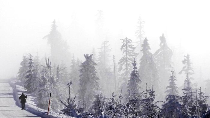 Dinginnya Salju di Jerman Akhir Januari A car passes by snow covered trees in Oberhof, Germany, Wednesday, Jan. 25, 2023. (AP Photo/Matthias Schrader)