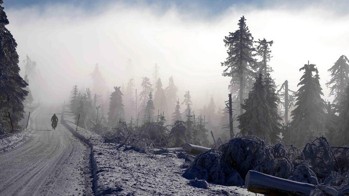 Dinginnya Salju di Jerman Akhir Januari A car passes by snow covered trees in Oberhof, Germany, Wednesday, Jan. 25, 2023. (AP Photo/Matthias Schrader)