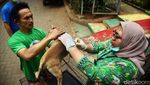Door to Door Cari Hewan untuk Vaksin Rabies