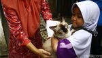 Door to Door Cari Hewan untuk Vaksin Rabies