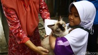 Seorang bocah terlihat sangat semringah usai hewan peliharaannya di vaksin.