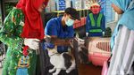 Door to Door Cari Hewan untuk Vaksin Rabies