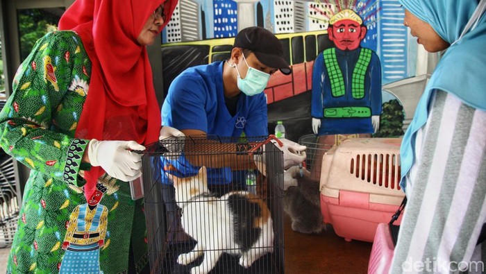 Door to Door Cari Hewan untuk Vaksin Rabies Sudin Ketahanan Pangan Kelautan dan Pertanian Kota Administrasi Jaksel menggelar vaksin rabies gratis di kawasan RPTRA Anggrek, Bintaro, Pesanggrahan, Jakarta Selatan.