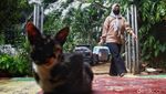 Door to Door Cari Hewan untuk Vaksin Rabies