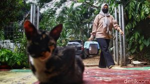 Door to Door Cari Hewan untuk Vaksin Rabies