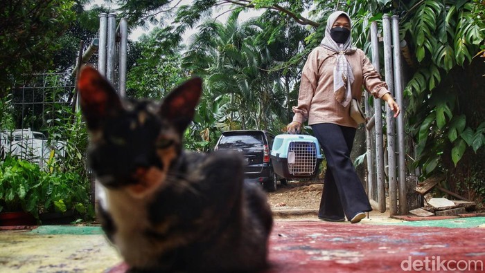 Door to Door Cari Hewan untuk Vaksin Rabies Sudin Ketahanan Pangan Kelautan dan Pertanian Kota Administrasi Jaksel menggelar vaksin rabies gratis di kawasan RPTRA Anggrek, Bintaro, Pesanggrahan, Jakarta Selatan.