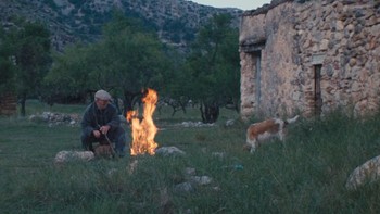 Hanya tinggal berdua, Martin dan Sinforosa menggarap tanah dan merawat puluhan kucing dan anjing di tempat yang pernah menjadi rumah bagi 200 penduduk. Foto: Jungles in Paris