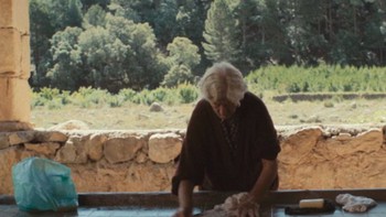 Istri saya lahir di tempat ini, dia selalu tinggal di sini. Dia tidak ingin pergi. Jika mengikuti terserah saya, saya akan meninggalkan kota ini sejak lama. Tapi saya tidak bisa meninggalkannya sendirian di sini, kata Martin. Foto: Jungles in Paris