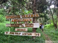 Jadi Tuan Rumah F1H2O, Ini 8 Tempat Wisata Sekitar Danau Toba Paling Keren!