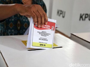 Masa Kerja PTPS Pilkada 2024 Berapa Bulan? Perhatikan Tugas serta Fungsinya