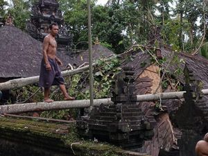 Angin Kencang Landa Karangasem, Pura Tertimpa Pohon Tumbang