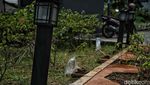 Taman Kampung Muka, Taman di Pinggir Rel Kereta Api