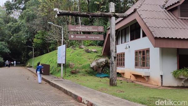 Doi Tung Royal Villa dulunya adalah istana HRH Putri Srinagarindra, ibu suri Thailand. Sebagian suku di Thailand yang tinggal di gunung memanggilnya dengan Mae Fah Luang atau Ibu suri dari langit. Doi Tung Royal Villa dulunya adalah istana HRH Putri Srinagarindra, ibu suri Thailand. Sebagian suku di Thailand yang tinggal di gunung memanggilnya dengan Mae Fah Luang atau Ibu suri dari langit.