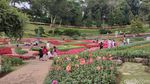 Adem dan Menentramkan, Taman Surga dari Thailand