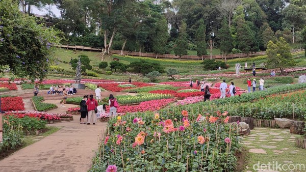 Suan Mae Fa Luang berada di depan Doi Thung Royal Villa, area ini ditanami lebih dari 70 spesies bunga dan tanaman musim dingin.
