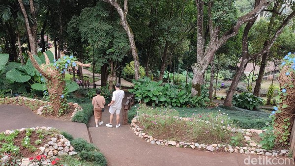 Destinasi ini ramah untuk disabilitas. Lokasinya di Mu 7 Mae Fa Luang, Chiang Rai, Thailand.