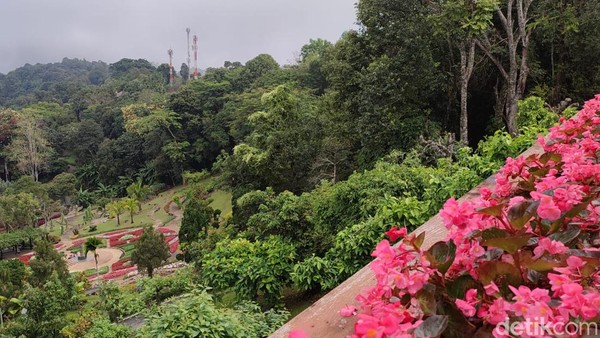 Di sekeliling Doi Tung Royal Villa terdapat taman bunga beraneka warna yang memberikan keindahan dan kesegaran, terutama di musim dingin ketika kabut sedikit menutupi puncak bukit di sekitarnya.