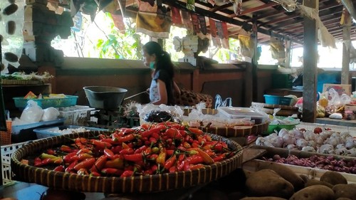 Harga cabai di Tabanan semakin mahal, yaitu Rp 55 ribu per kilogram (kg), karena masalah faktor cuaca di musim penghujan.