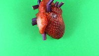 Karya seni unik ini telah memiliki banyak penggemar. Buah strawberry ini dibentuk mirip dengan organ jantung. Foto: Instagram @mundane_matters
