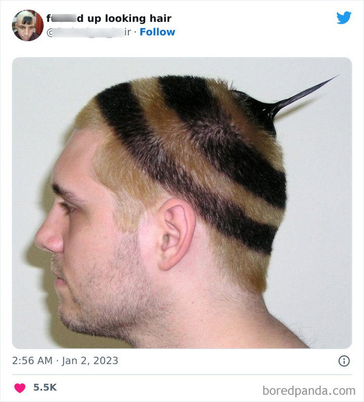Model Rambut Unik Model rambut unik dan tidak biasa di internet.