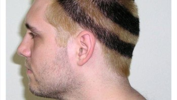 Rambut yang terinspirasi motifnya lebah. Foto: f**ked_up_hair via Bored Panda