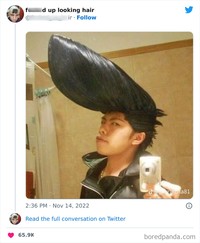 Model rambut unik dan tidak biasa di internet.