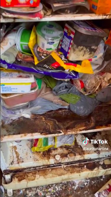 Penampakkan kulkas yang tak dibersihkan selama 3 tahun