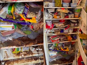 Merinding! Ini Penampakan Kulkas Penuh Makanan yang Tak Pernah Dibersihkan 3 Tahun
