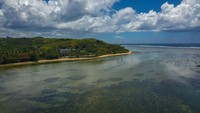 Laut yang lebih hangat mengganggu ekosistem pesisir, sementara stok spesies berharga seperti tuna telah dijarah oleh kapal asing. Andrew Leeson/AFP/Getty Images