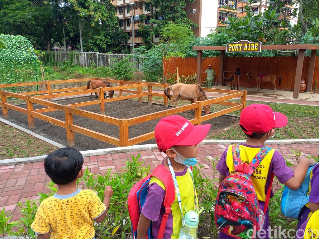 Solo Safari di Kota Solo resmi dibuka mulai hari ini, Jumat (27/1/2023).