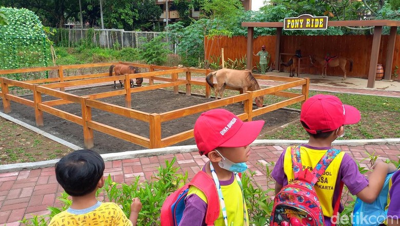Solo Safari di Kota Solo resmi dibuka mulai hari ini, Jumat (27/1/2023). Solo Safari di Kota Solo resmi dibuka mulai hari ini, Jumat (27/1/2023).