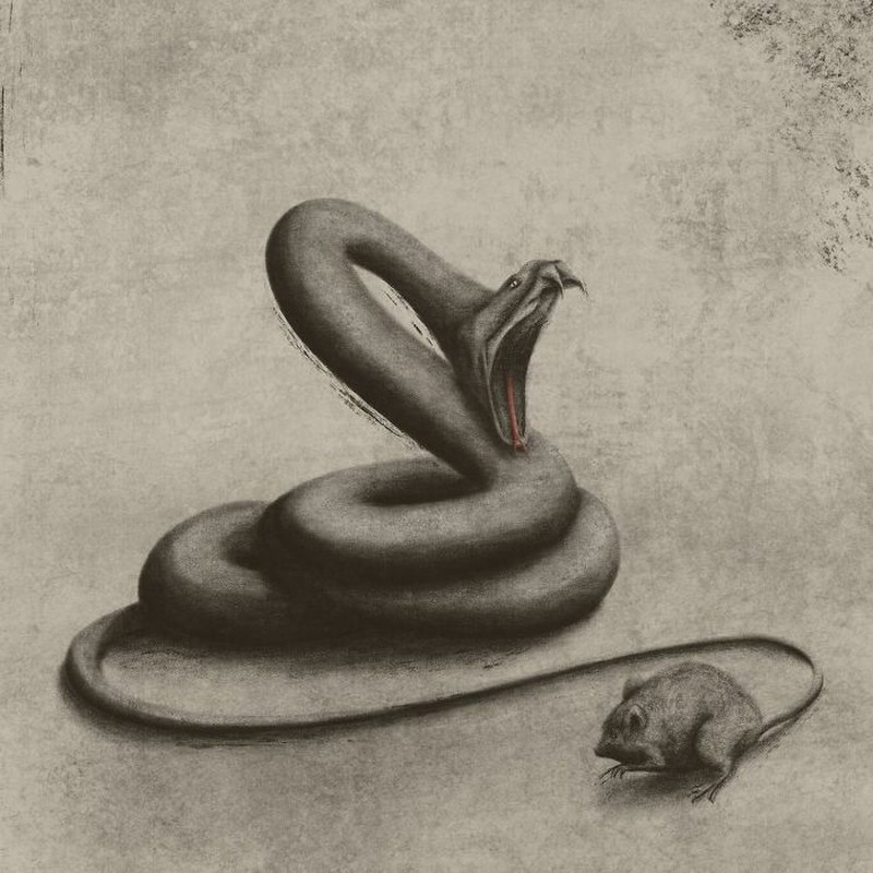 Setiap gambar selalu memiliki makna tersendiri, entah soal kebahagiaan atau kesedihan. Seperti deretan gambar berikut ini, apakah kalian tahun maksudnya?