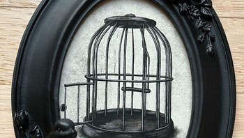 Bagaimana dengan bingkai burung, dengan lukisan sangkar yang telah terbuka? Artinya adalah burung yang bebas, mengenang masa dalam kurungan. Foto: (Bored Panda).