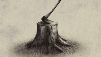 Penebangan hutan yang terjadi, apakah berimbang dengan usaha melestarikannya juga? Foto: (Bored Panda).